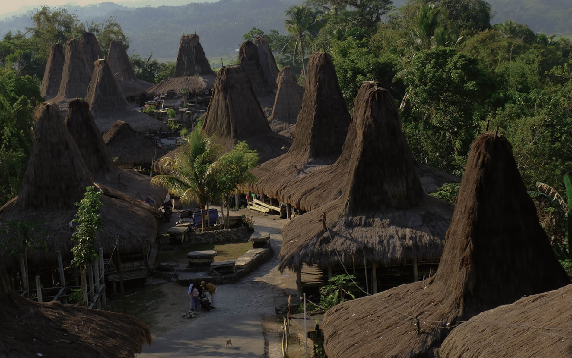 Village Encounters