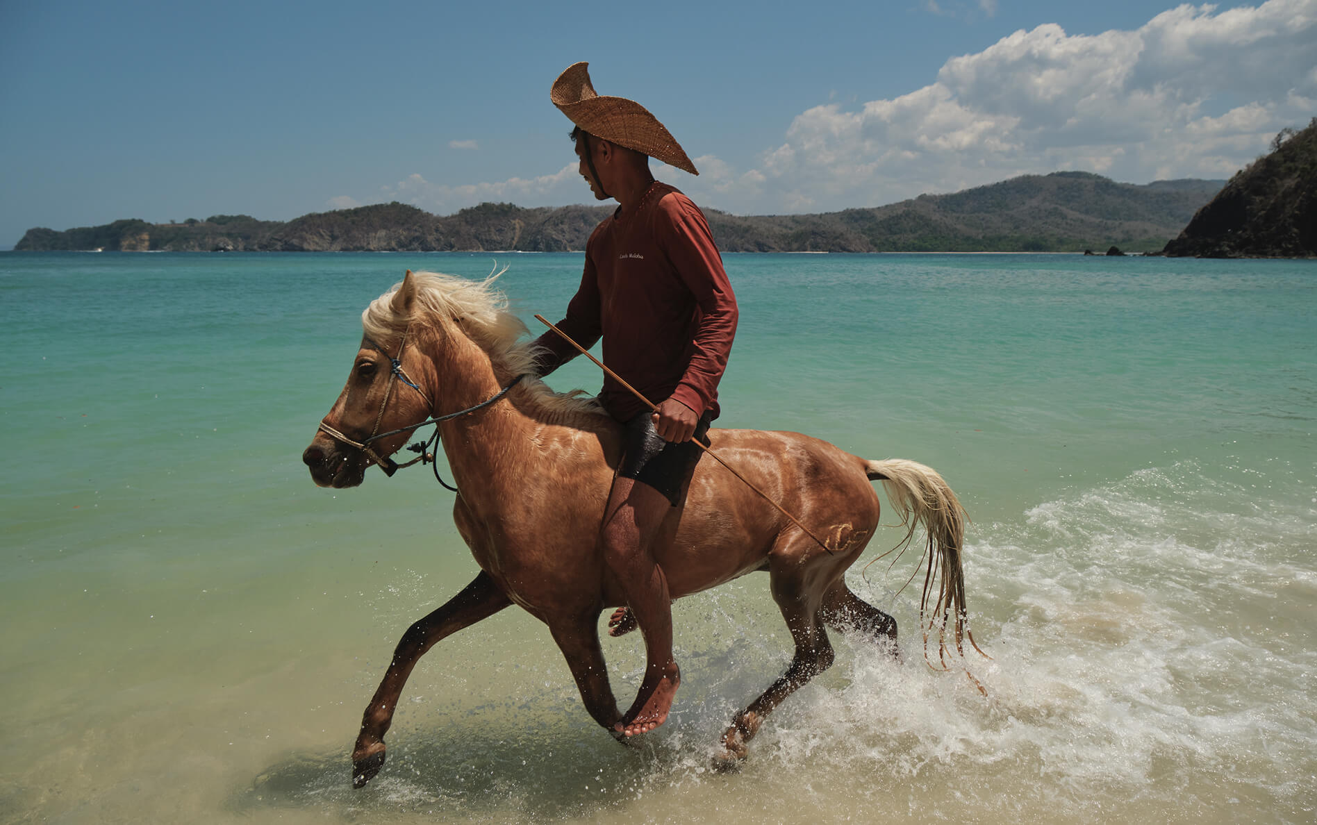Sandalwood Horses